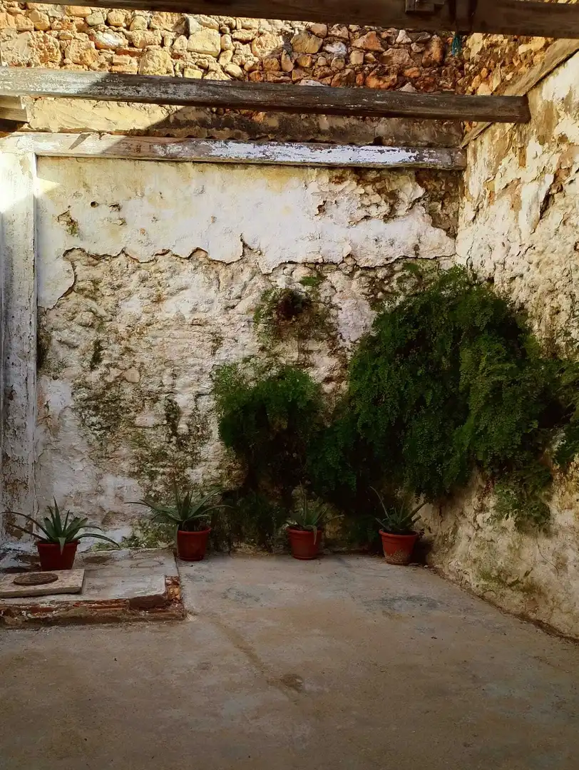 Jardín de Casa o chalet en venta en Cullera