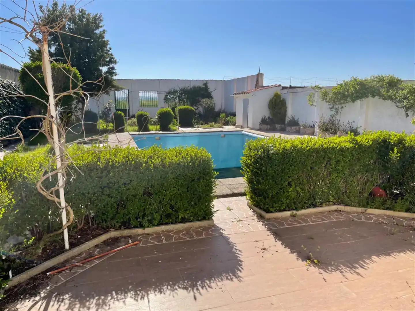 Piscina de Casa o chalet en venta en Benavente con Jardín privado, Parquet y Trastero