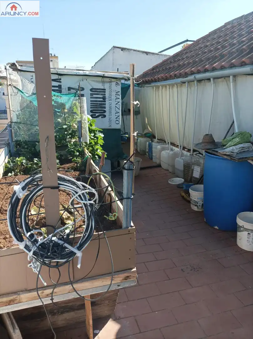 Jardí de Casa o xalet en venda en Alcalá de Guadaira amb Aire condicionat, Calefacció i Terrassa