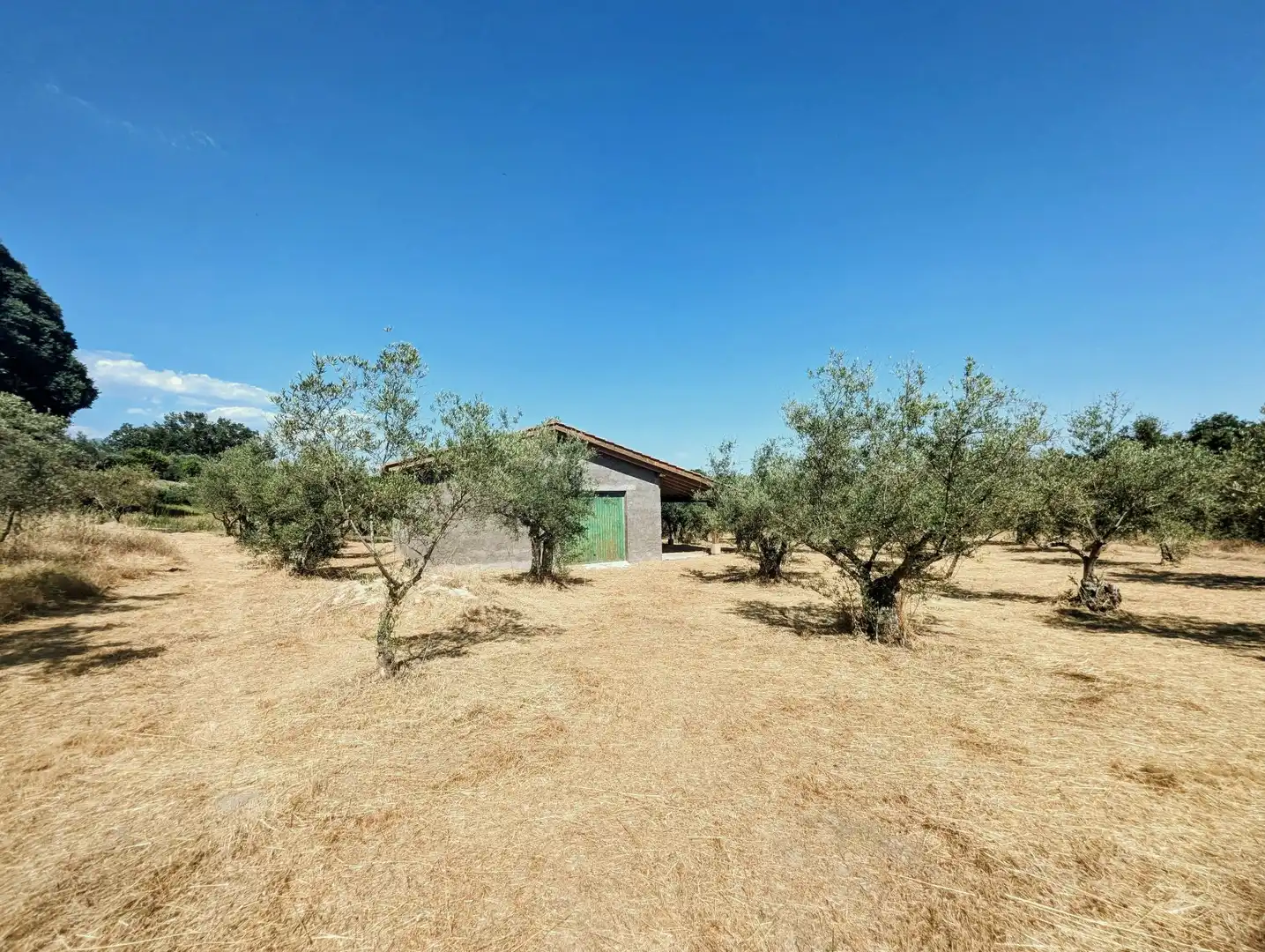 Maison à vendre à Villanueva de la Vera, imagen 28