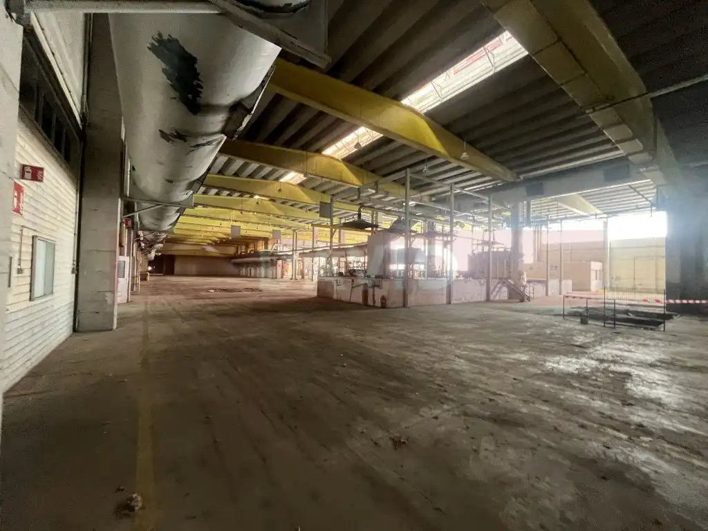 Industrial building for sale in Diseminados Poligon 39, imagen 12