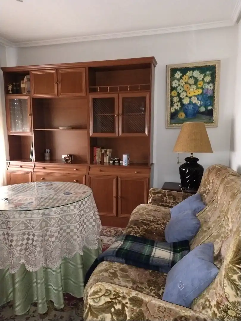 Living room of Flat for rent in Bembibre  with Heating, Parquet flooring and Storage room