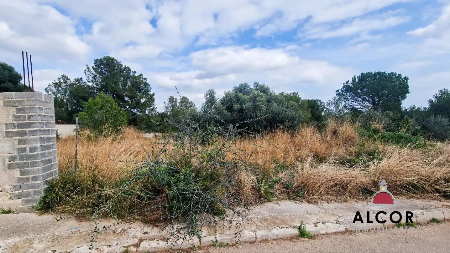 Finca rústica en venda en Benicarló