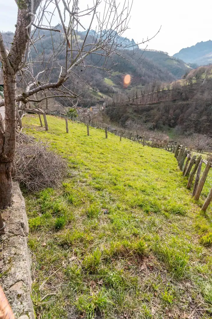 Casa o xalet en venda en Laviana amb Jardí privat