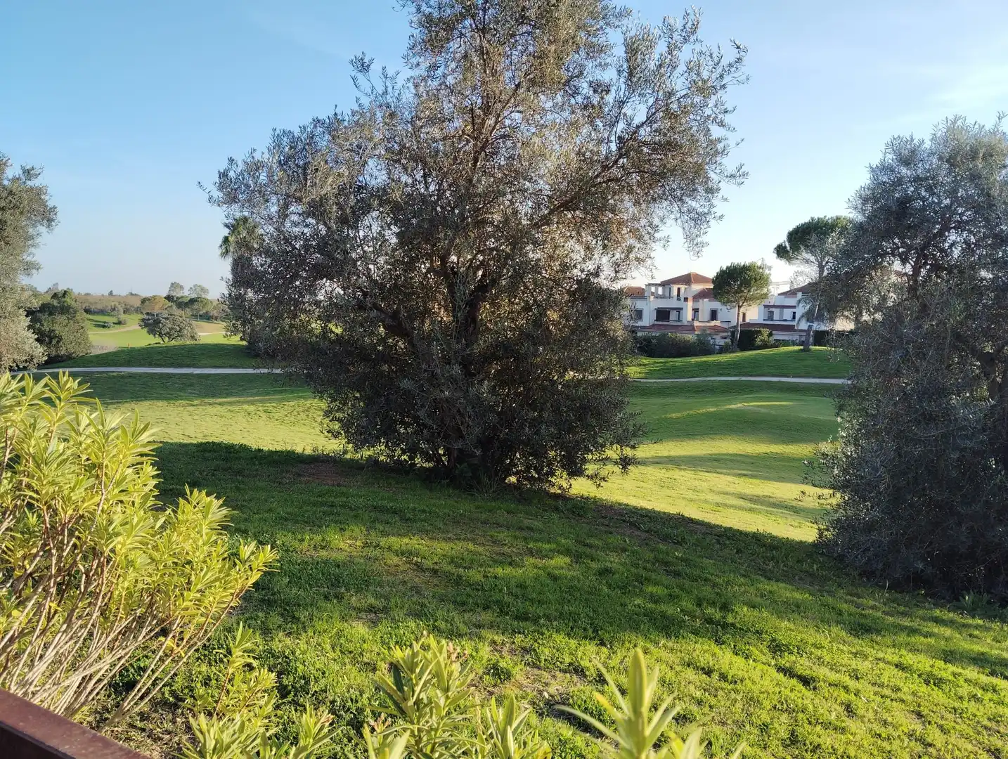 Haus oder Chalet zum Verkauf in Calle Sergio García, Las Pajanosas