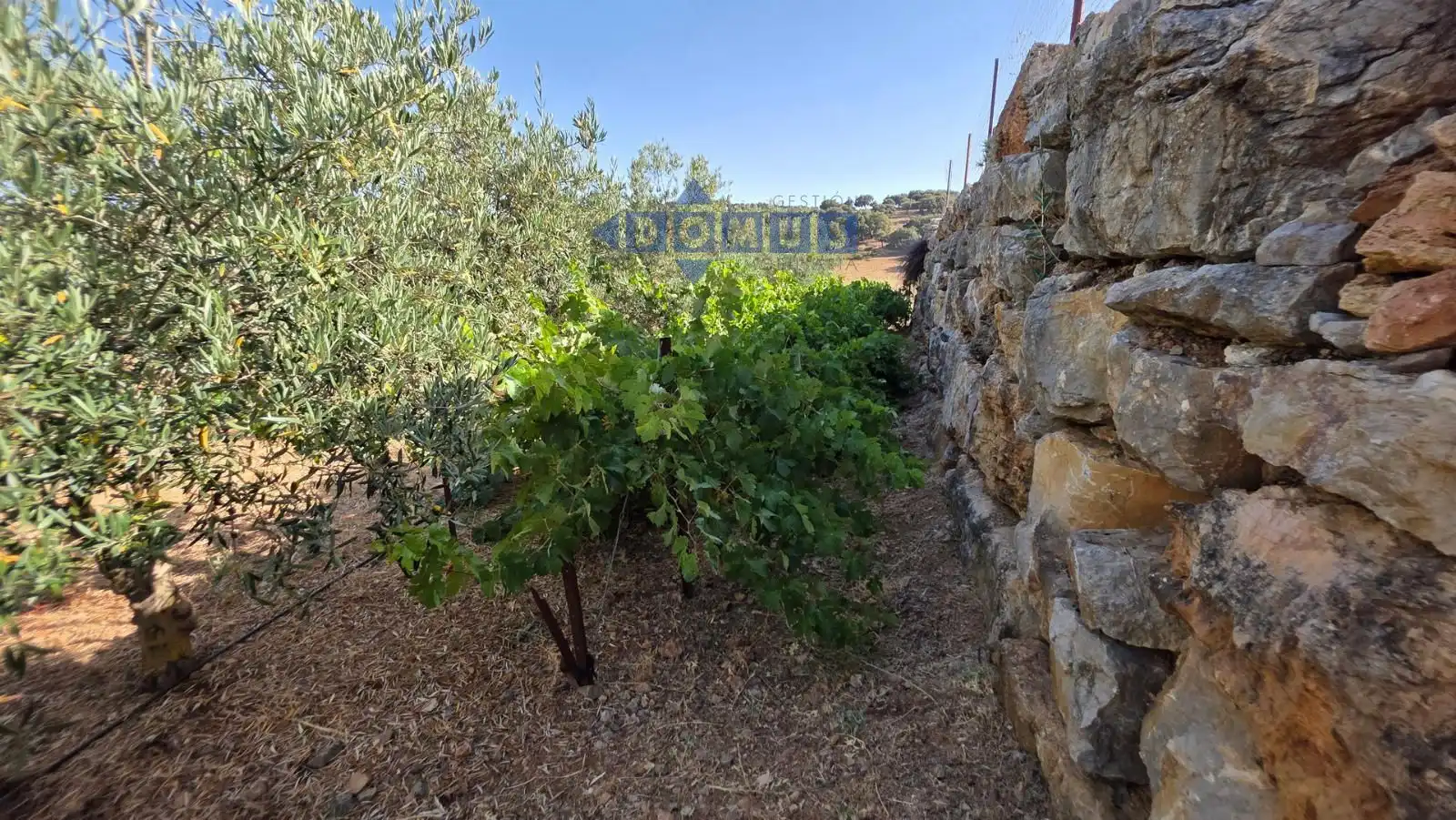 Terreno en venta en Camino Cartajima, carretera de san pedro, Partidas Sur