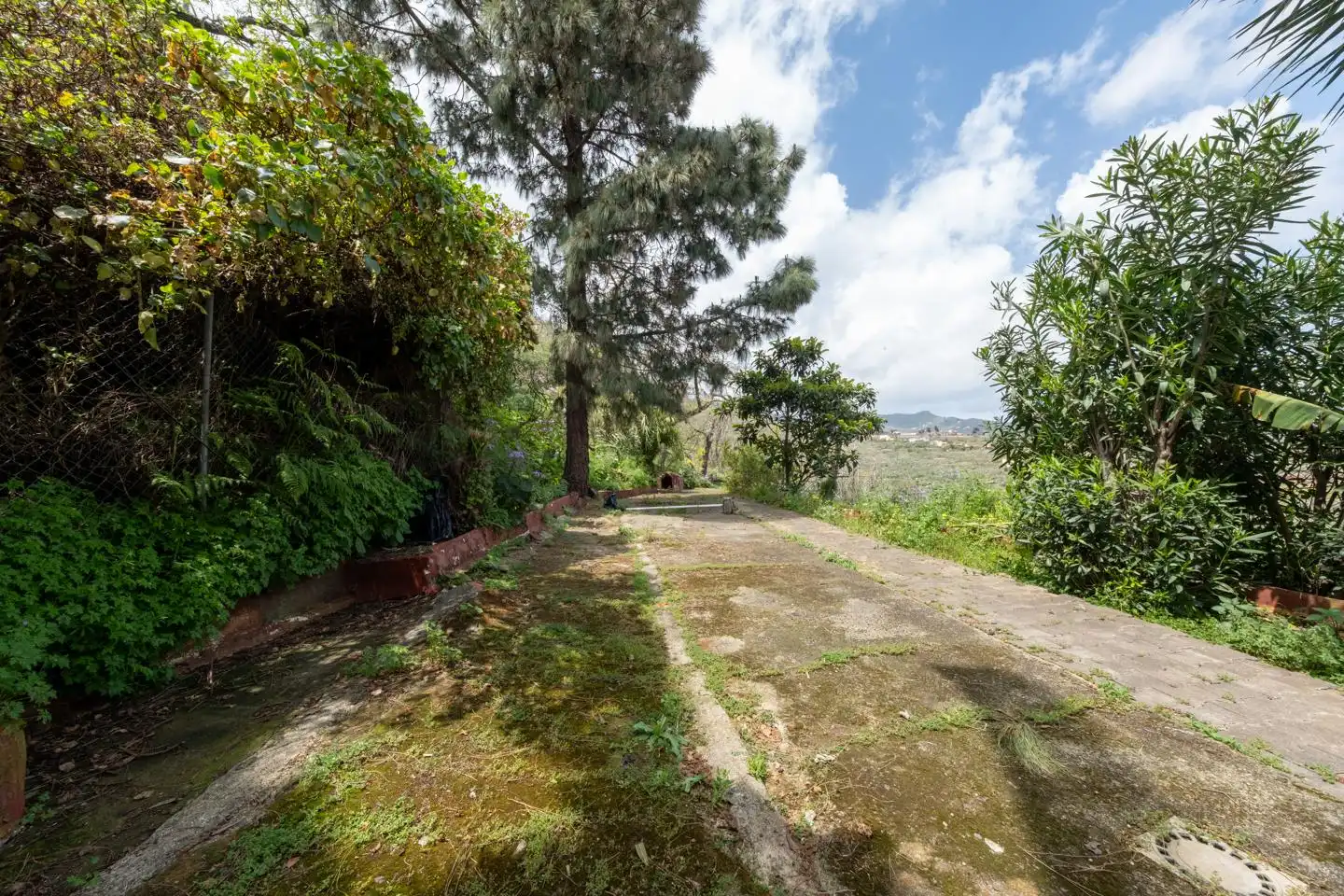 Haus zum Verkauf in Vega de San Mateo, imagen 24