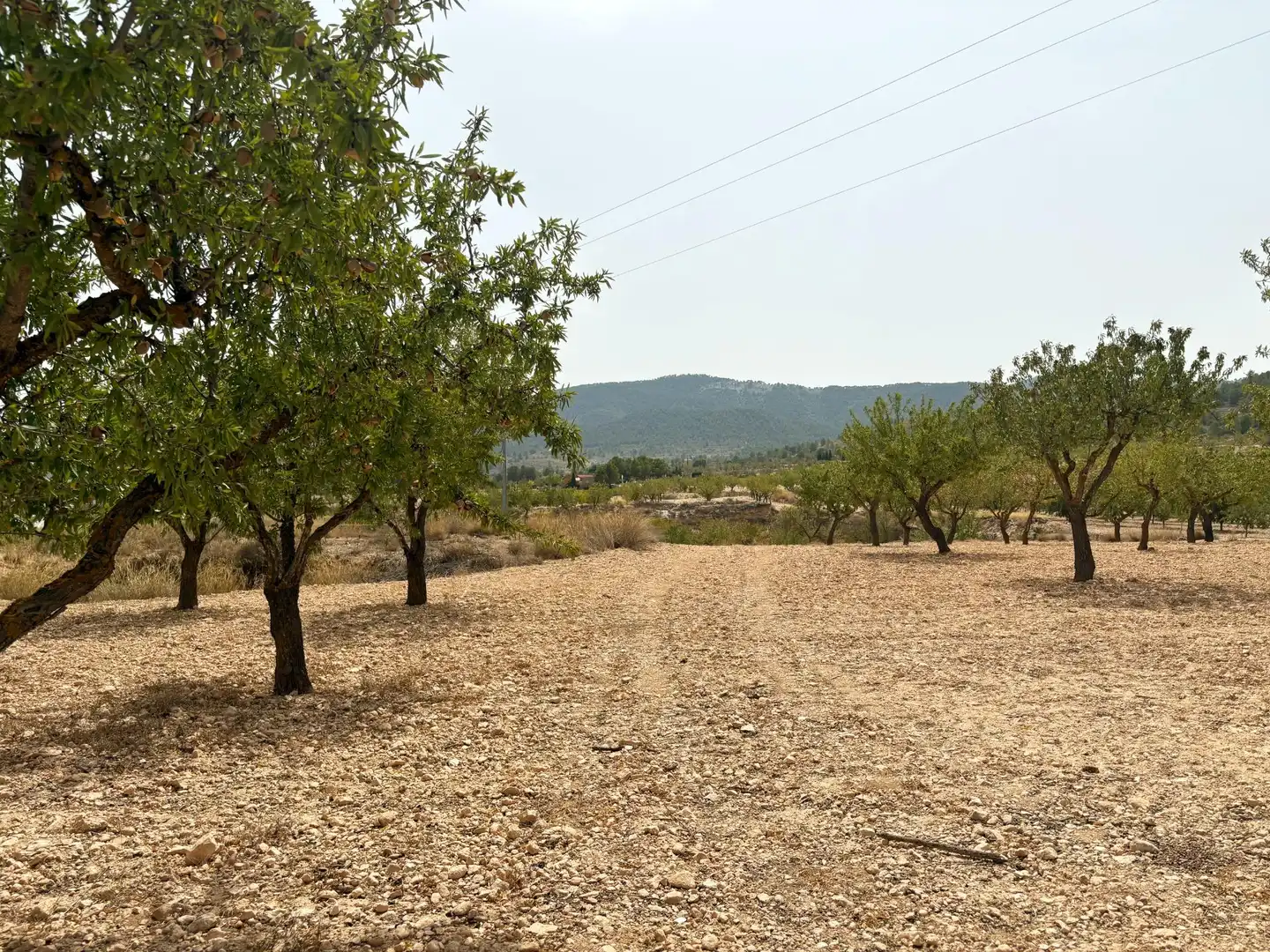 Country house for sale in Camino Ch Xirivell, imagen 2