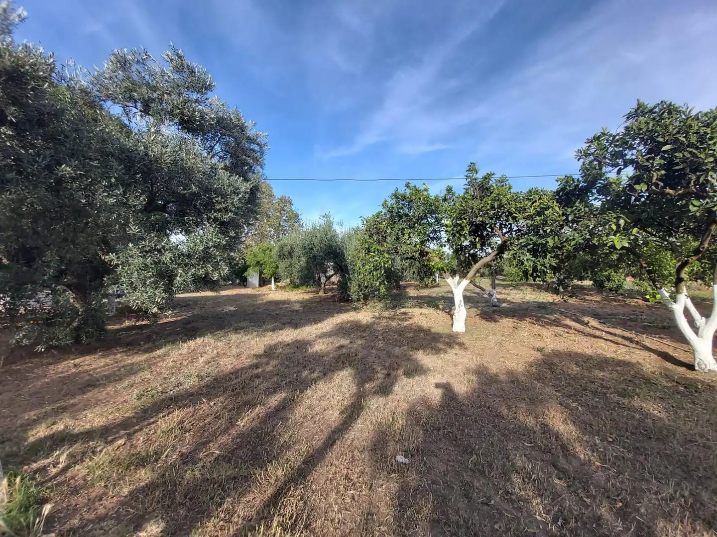 Casa o chalet en venta en Utrera con Aire acondicionado, Jardín privado y Trastero