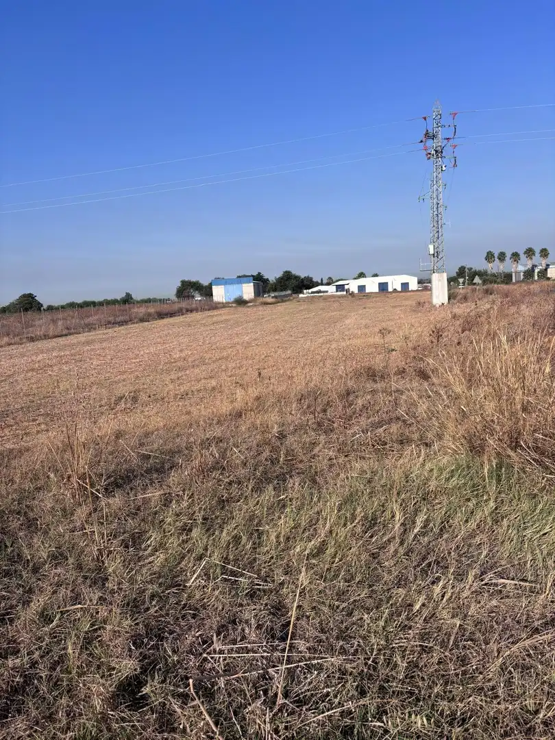 Terreny rústic en venda a Los Palacios y Villafranca, imagen 7