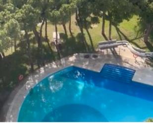 Piscina de Estudi de lloguer en Mijas amb Moblat, Rentadora i Microones