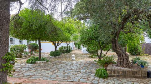 Foto 5 de Casa o chalet en venta en Sanlúcar la Mayor, Sevilla