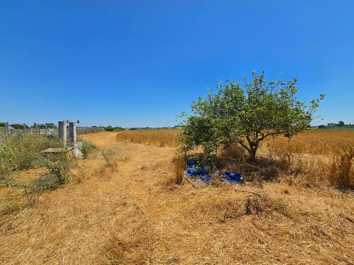 Terreno residenziale in vendita a Pelagatos - Pago del Humo, imagen 16