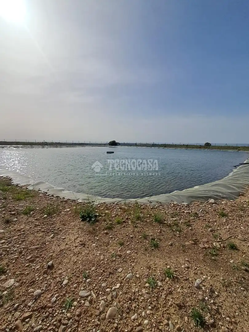 Terreno rustico in vendita a Carmona, imagen 3
