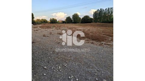 CASA DE CAMPO CON PISCINA LUZ AGUA LEGAL. OLIVAR 9 FANEGAS. TIERRA CALMA  3,5 FANEGAS A UN PASO DE BAENA, immagine 4