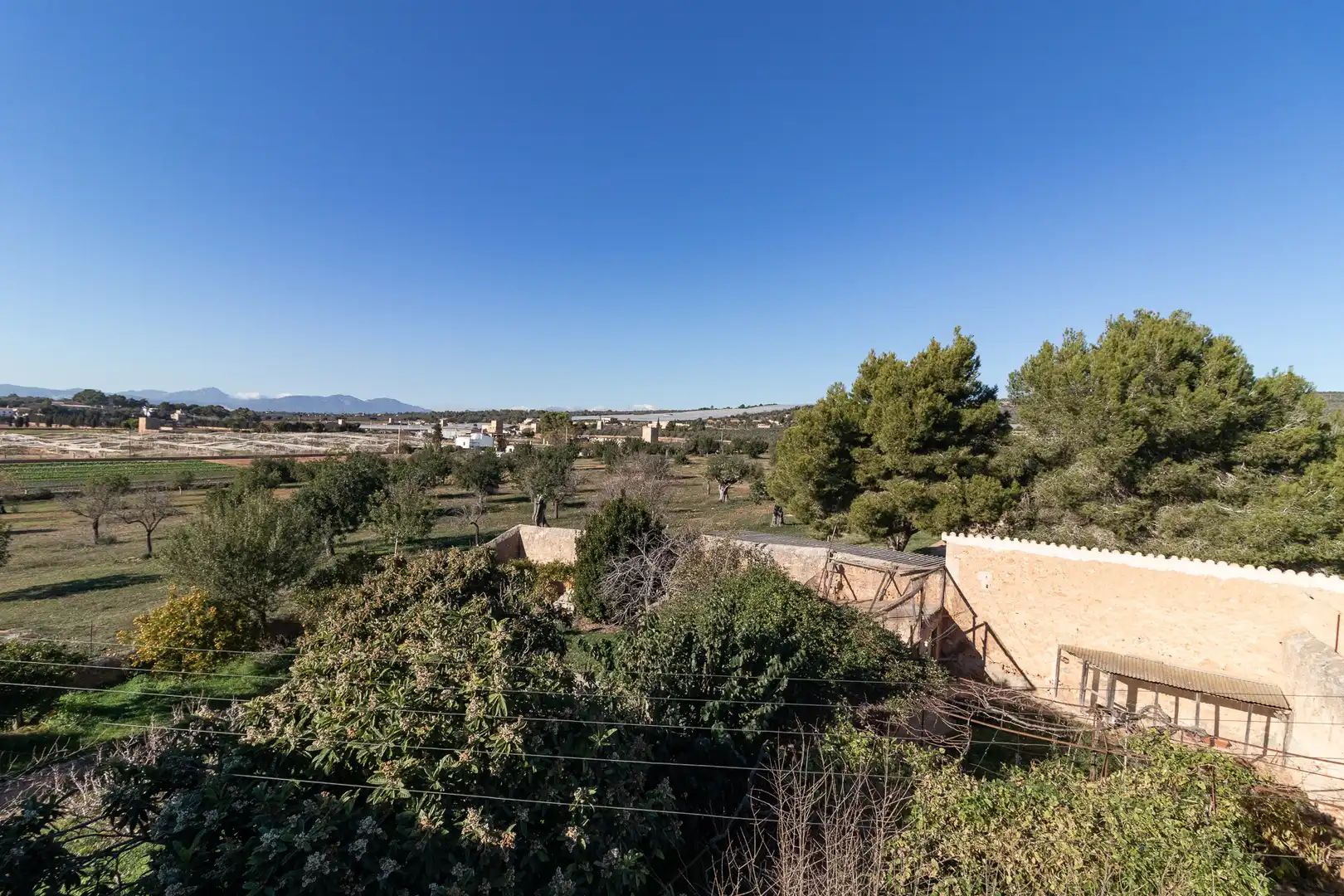 Jardín de Finca rústica en venta en  Palma de Mallorca