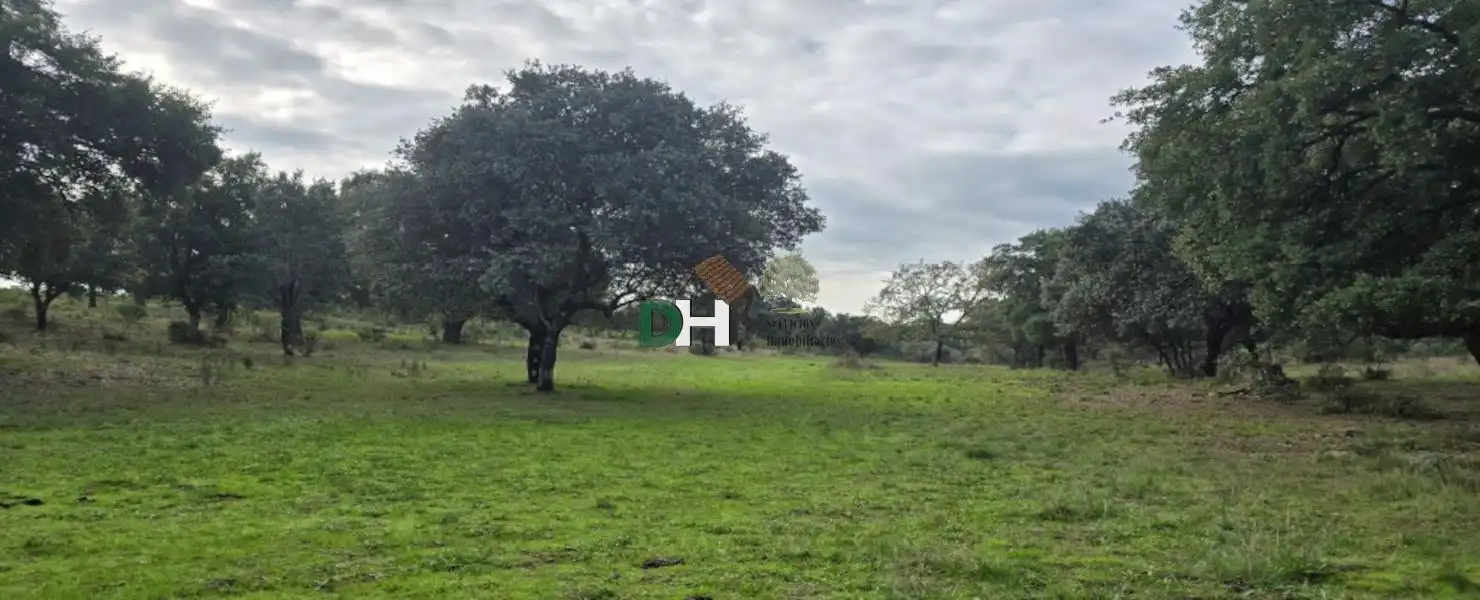 Terreni e lotti in vendita a Ruta de la Plata