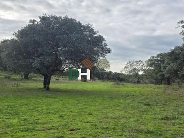 Terrenys i solars en venda a Ruta de la Plata