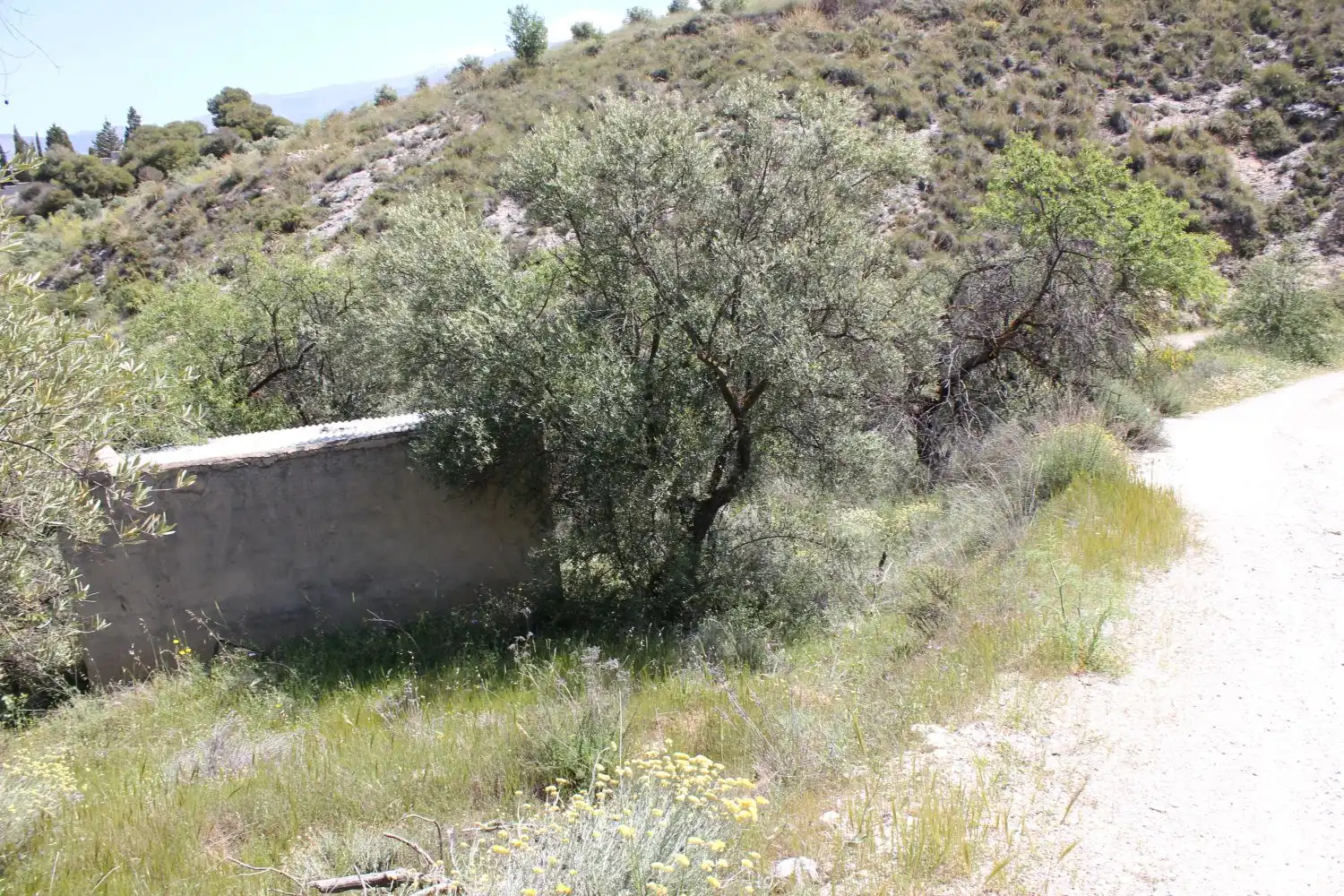 Terreni e lotti in vendita a andalucia, imagen 6