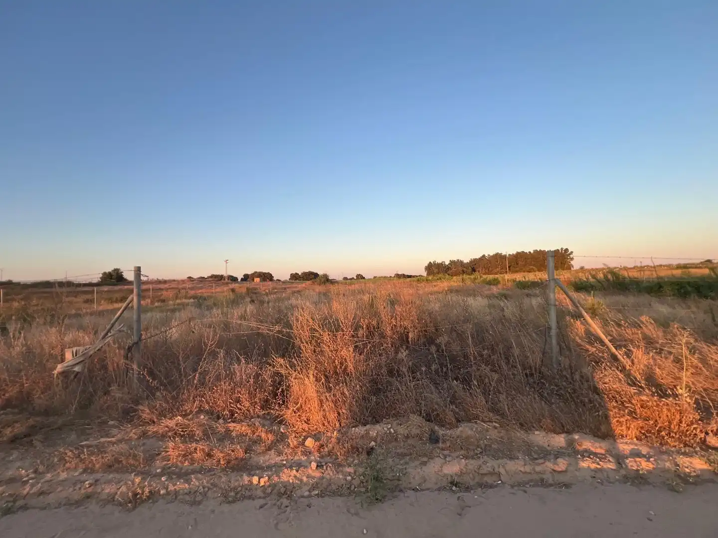 Terreny rústic en venda a Pedanías Norte, imagen 11