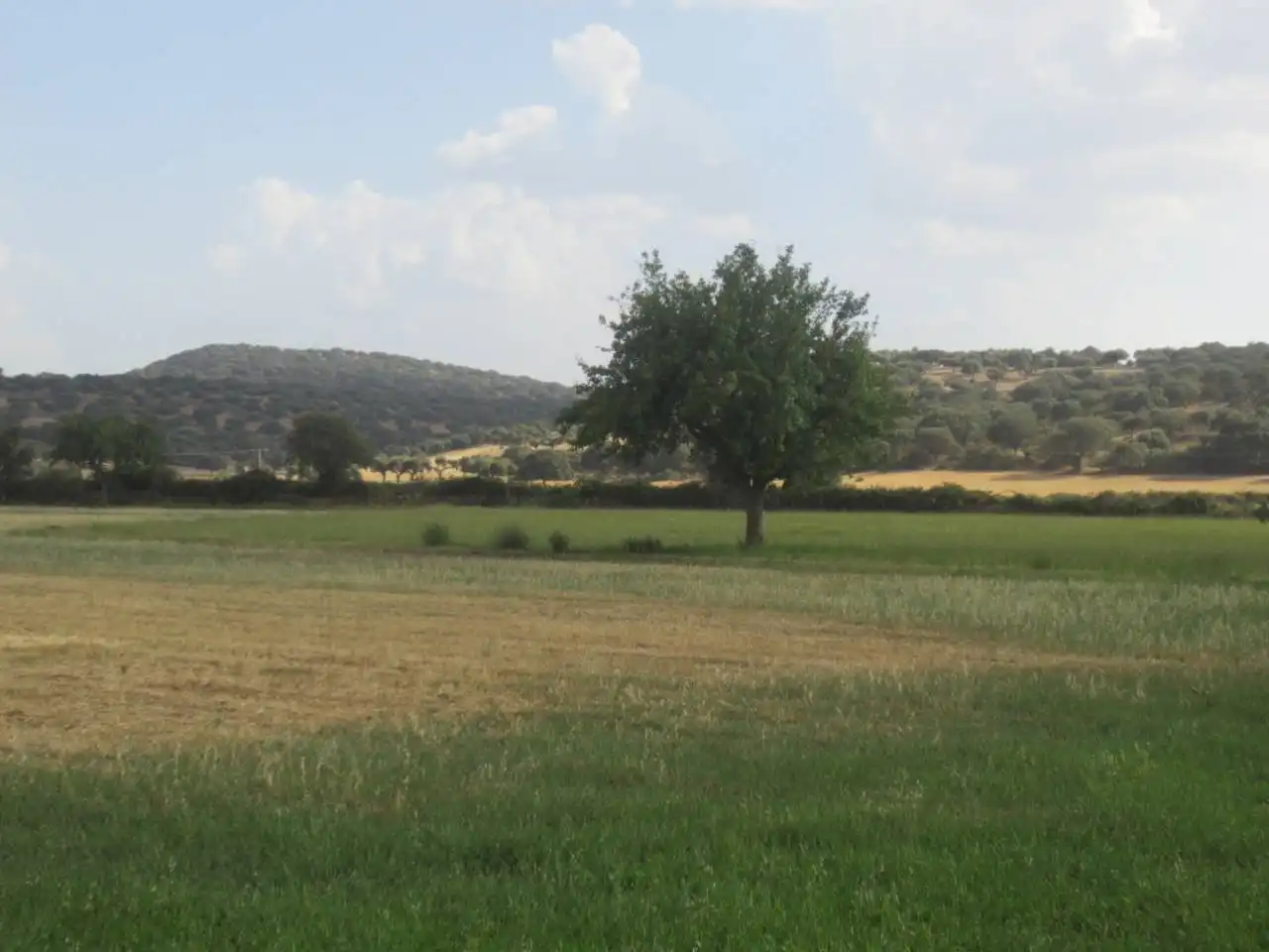 Terreno rustico in vendita a Calle RONDA DEL MEDIODIA, imagen 17