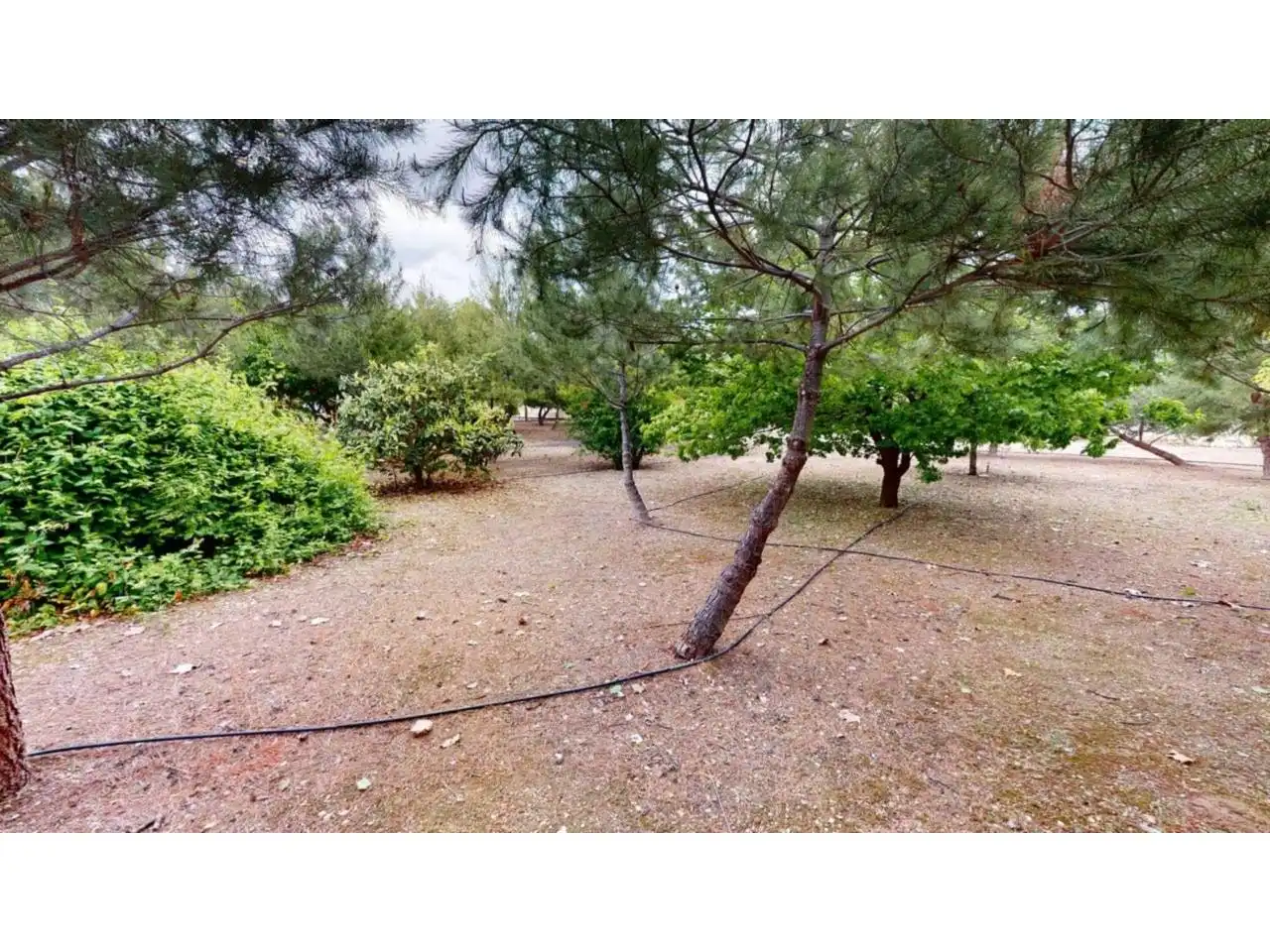 Villa con piscina in vendita a Caravaca de la Cruz, imagen 5
