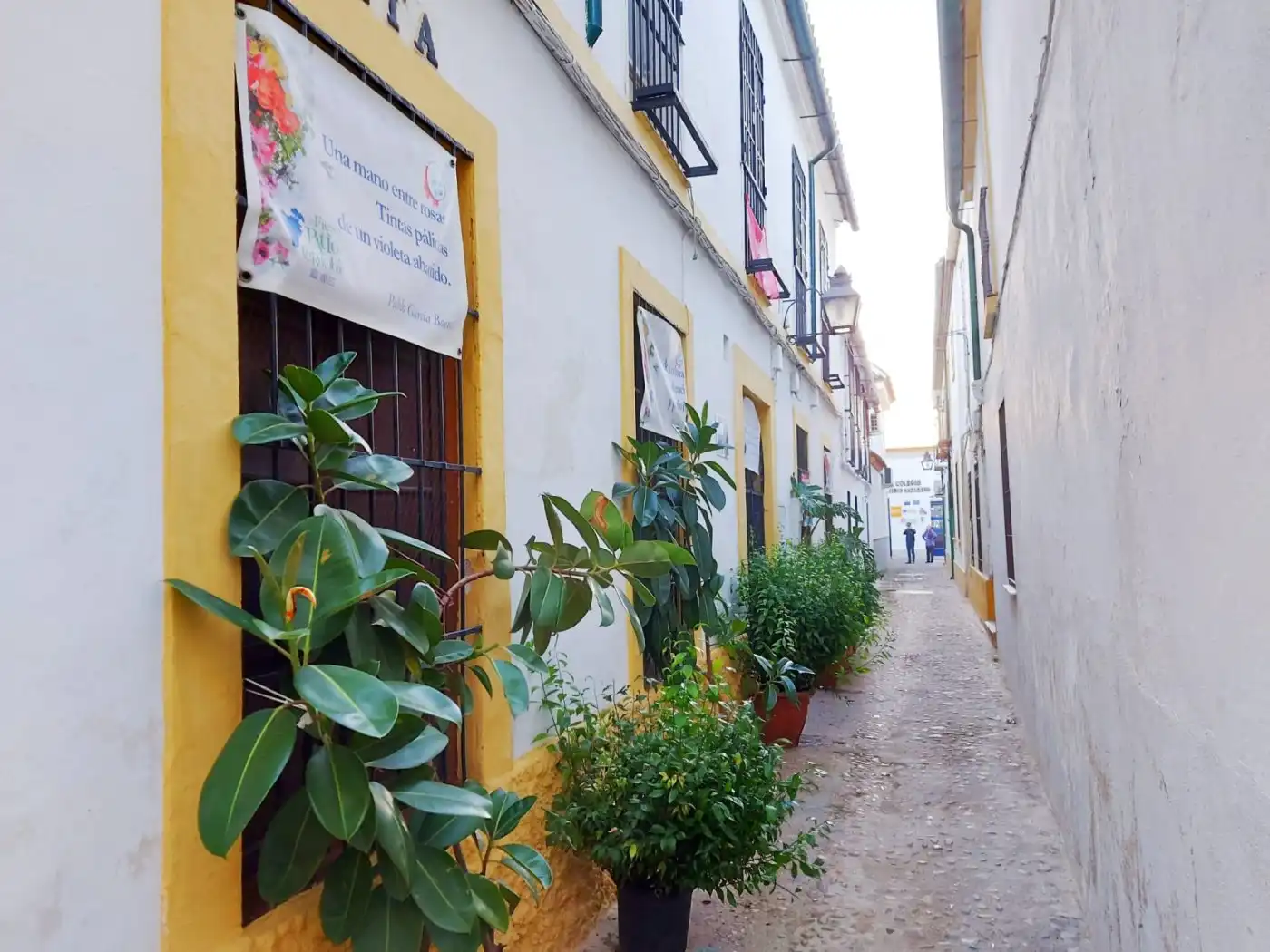 Maison à vendre à Centro, imagen 18