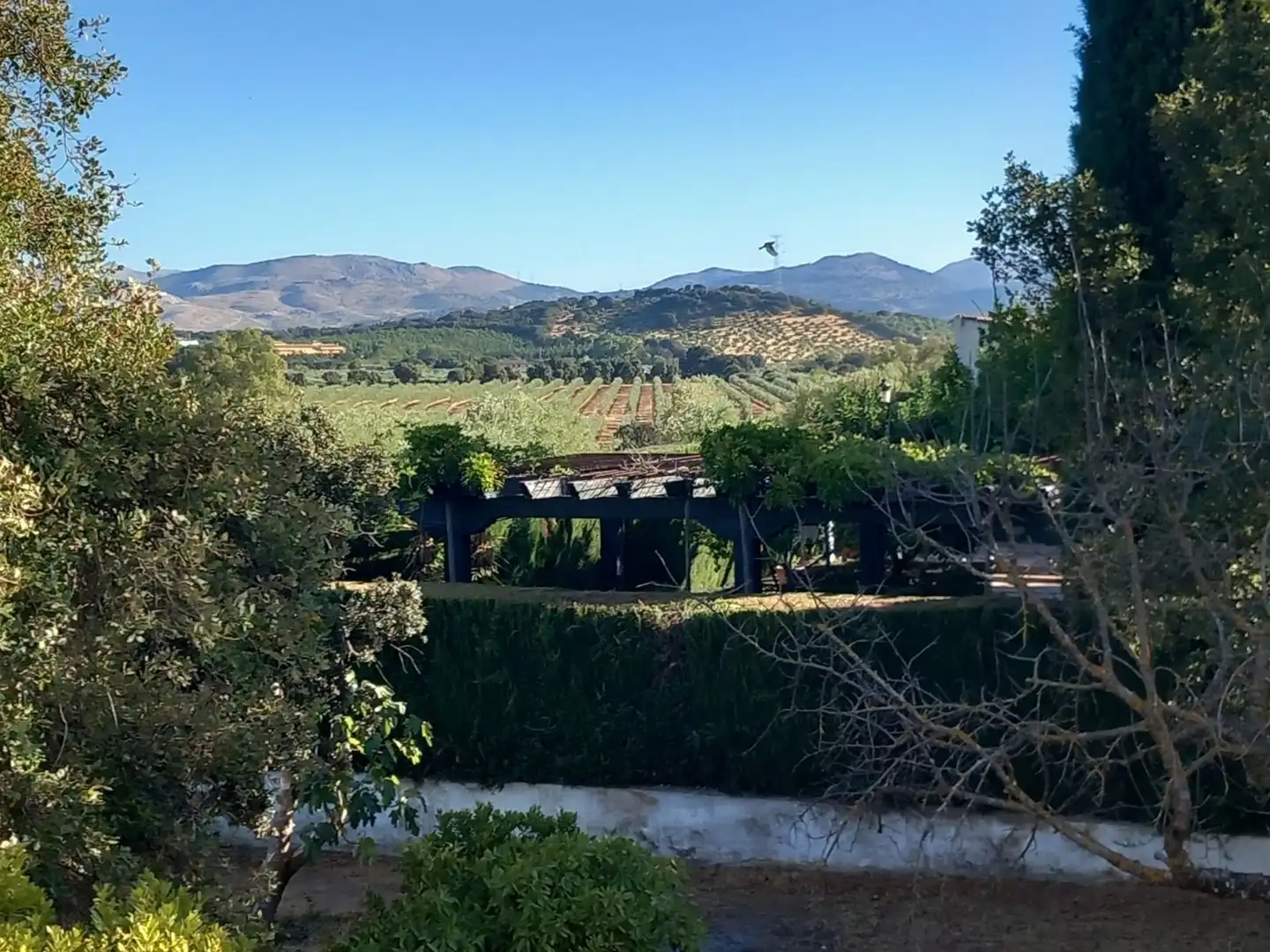 Casa amb piscina en venda a Partidas Norte, imagen 48