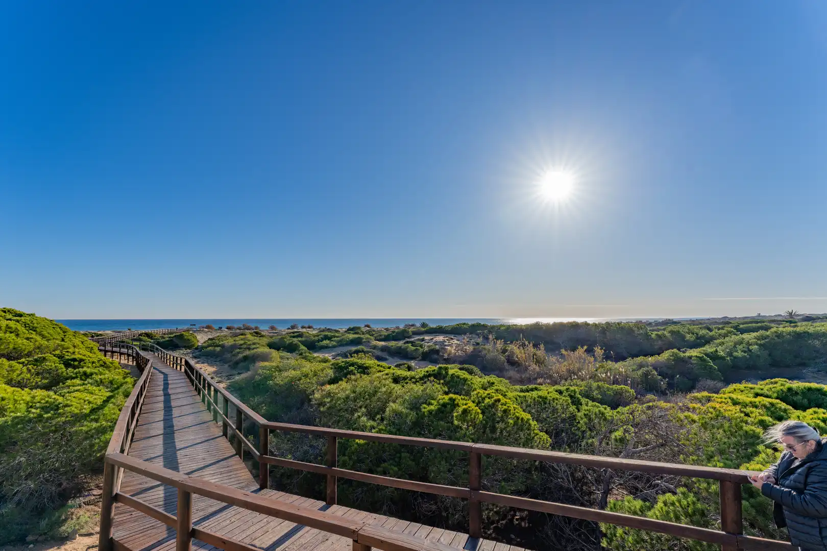 Vista exterior de Apartamento en venta en Elche / Elx con Calefacción, Terraza y Piscina