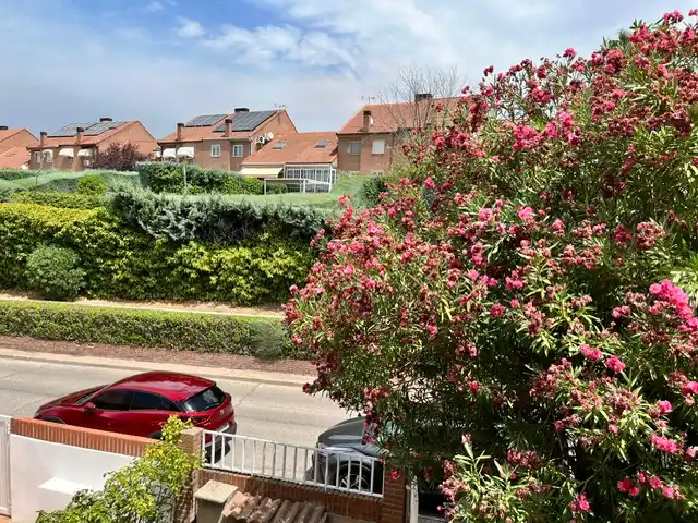 Vista exterior de Casa o xalet en venda en Las Rozas de Madrid amb Calefacció, Jardí privat i Parquet