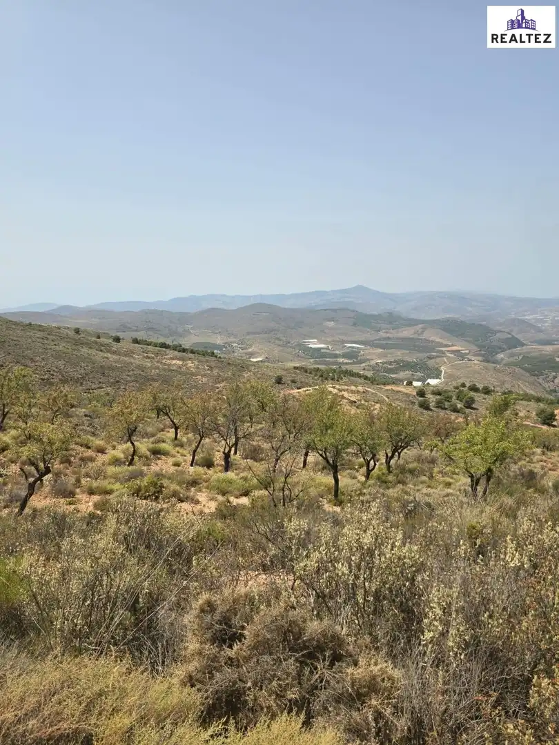 Terrain rustique à vendre à Alcolea, imagen 8