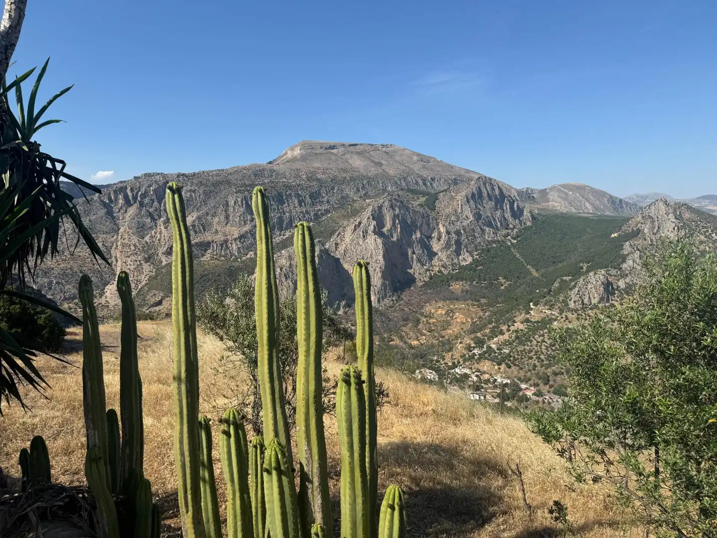 Vista exterior de Finca rústica en venta en Ardales con Jardín privado y Terraza