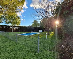 Swimming pool of Residential for sale in Tomares