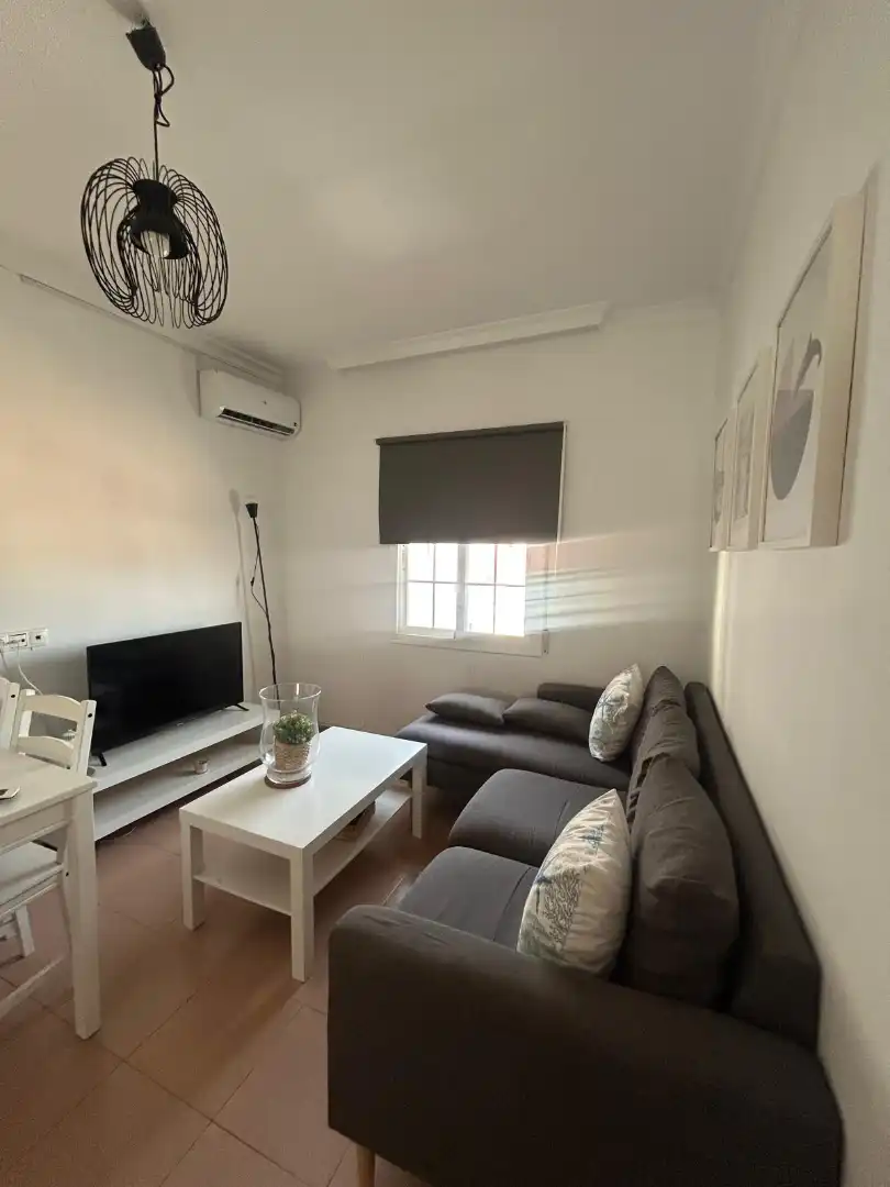 Sala d'estar de Pis en venda en Málaga amb Aire condicionat i Moblat