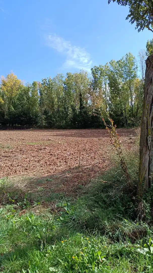 Edificio en venta en Pasaje Sopetran, Cañizar