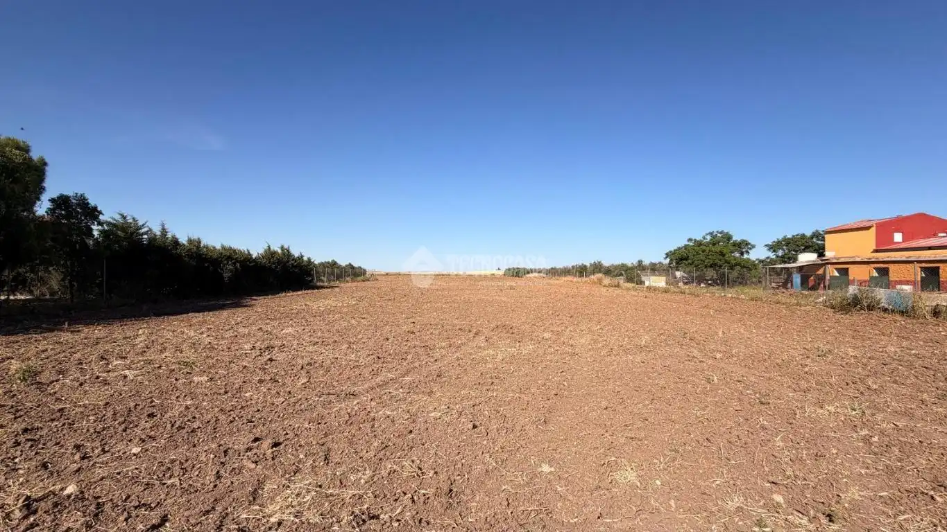 Terreno en venta en Paraje los los llanos, La Lantejuela