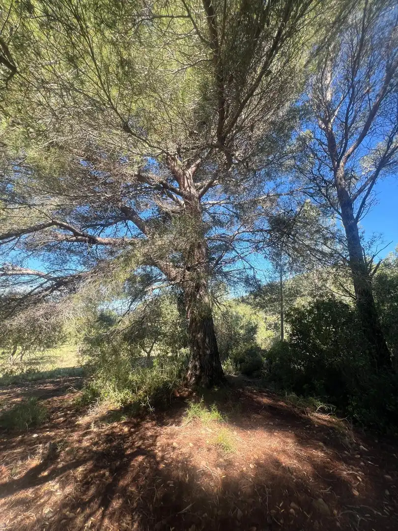 Maison rustique à vendre à Camino  Tivissa 51, imagen 33