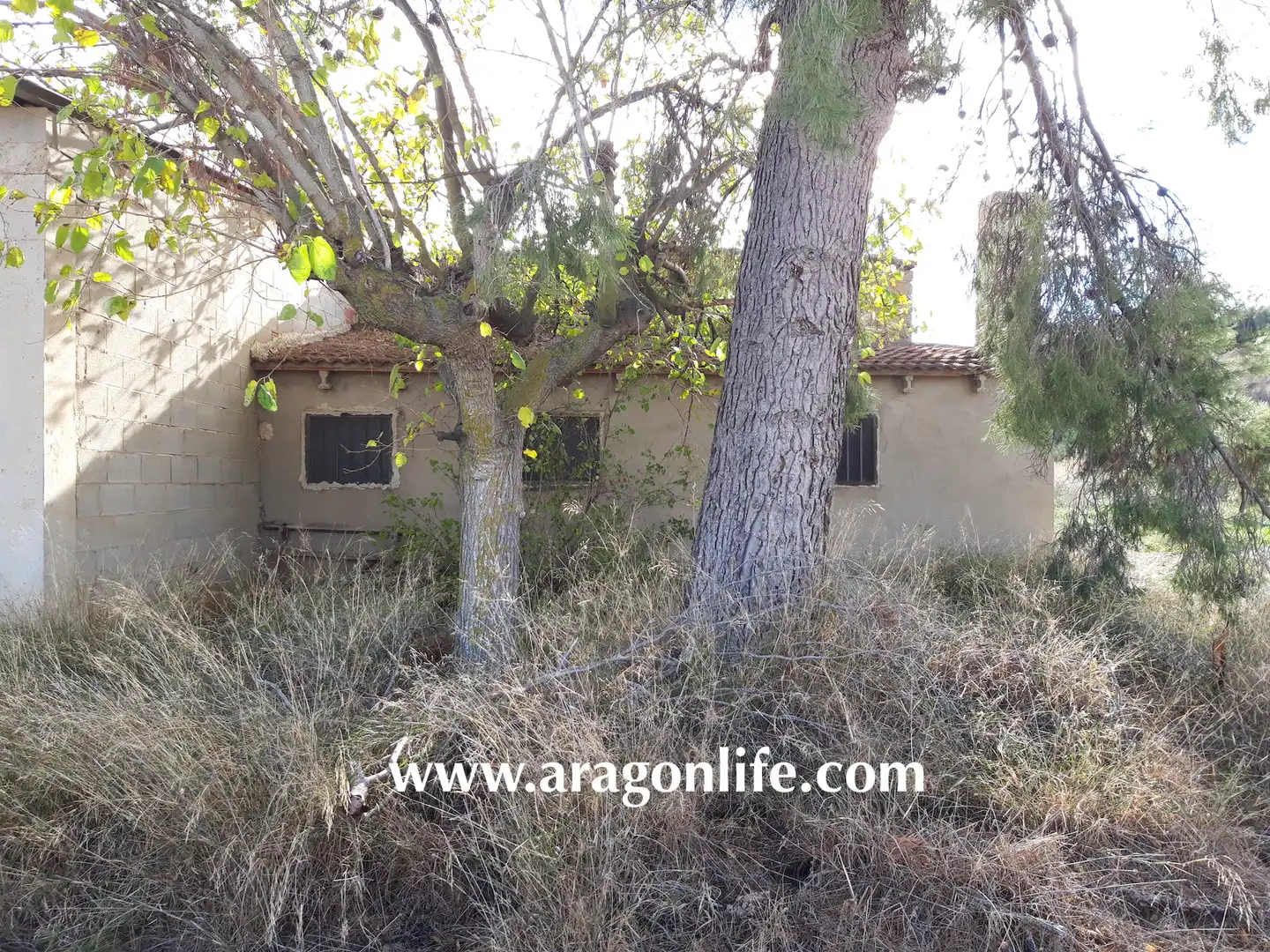 Garten von Country house zum Verkauf in Caspe