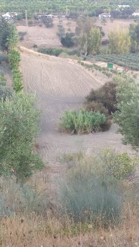 Terreno residencial en Venta en Alquería - Torrealquería