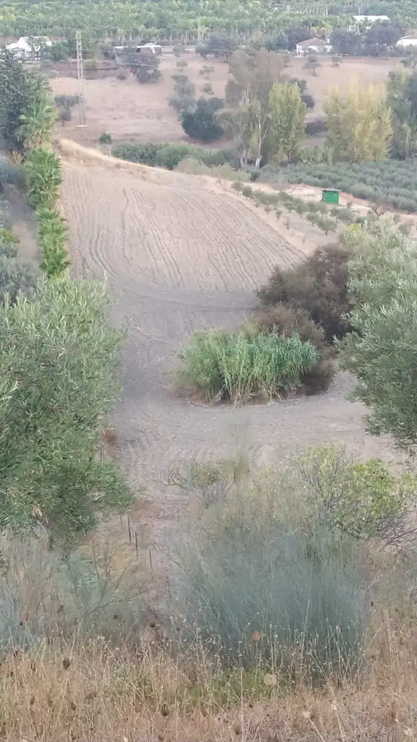 Terreni e lotti in vendita a Alquería - Torrealquería