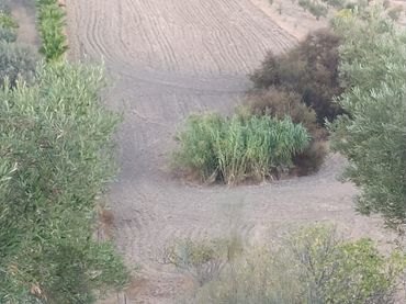 Terreno residenziale in vendita a Alquería - Torrealquería