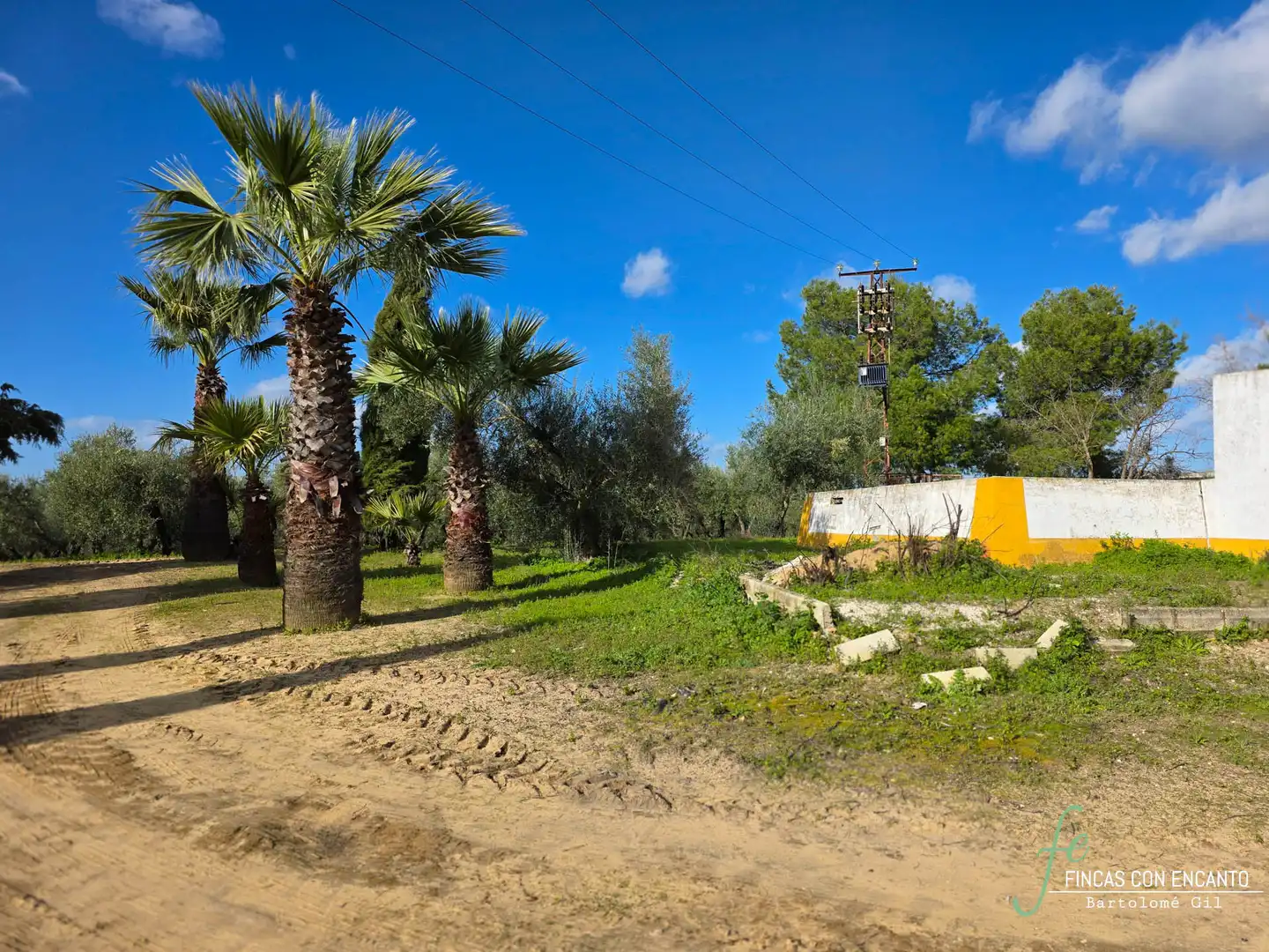 Country homes for sale in Marchena  with Swimming Pool and Alarm