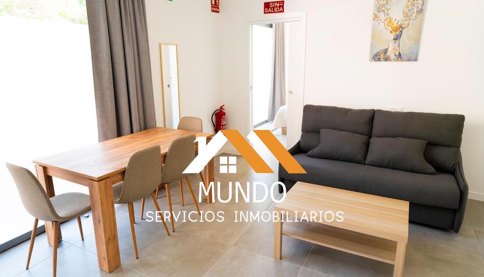 Foto 1 de Loft de lloguer a Els Orriols, Valencia