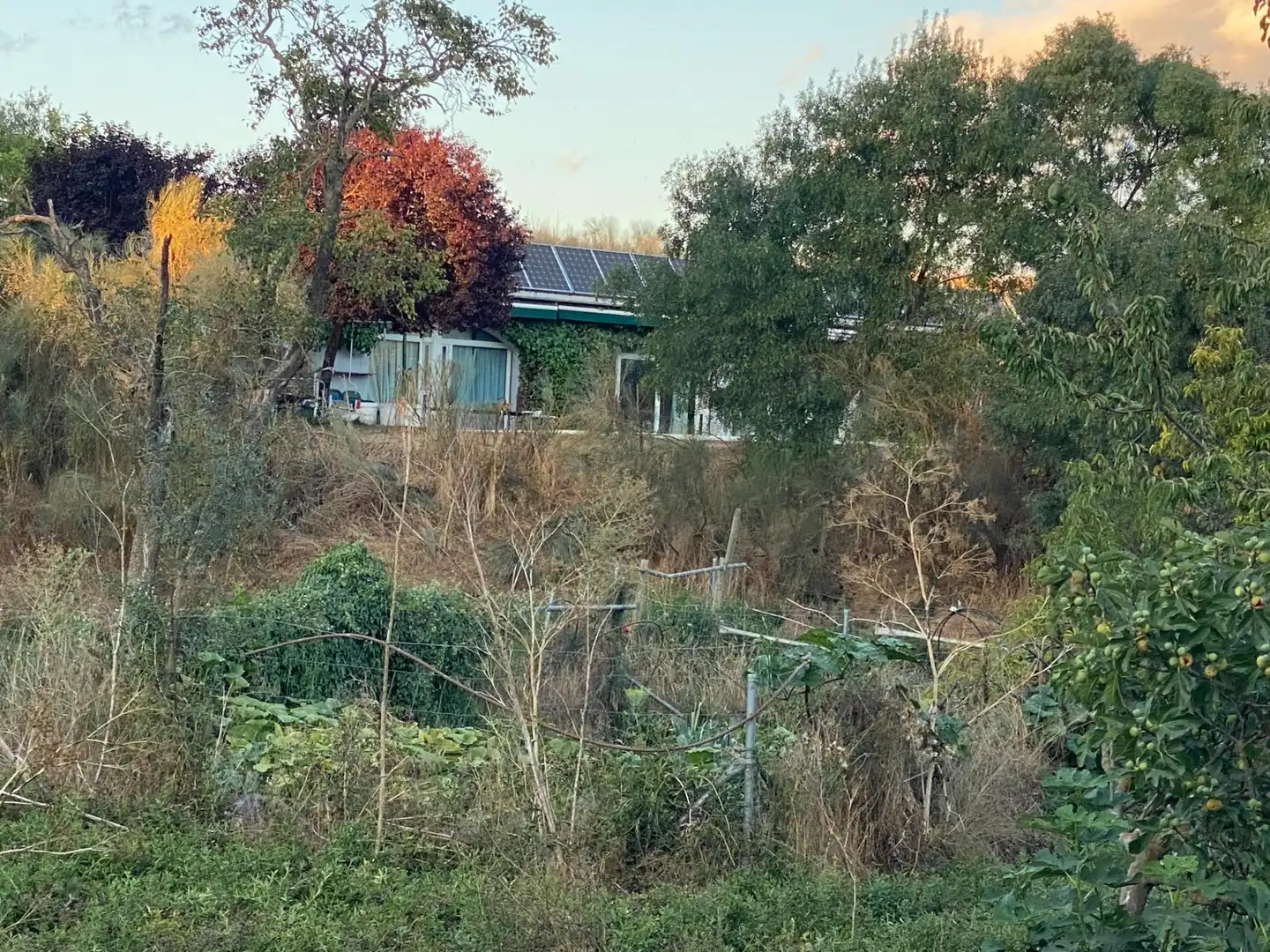 Finca rústica en venda en Valoria la Buena amb Jardí privat i Piscina