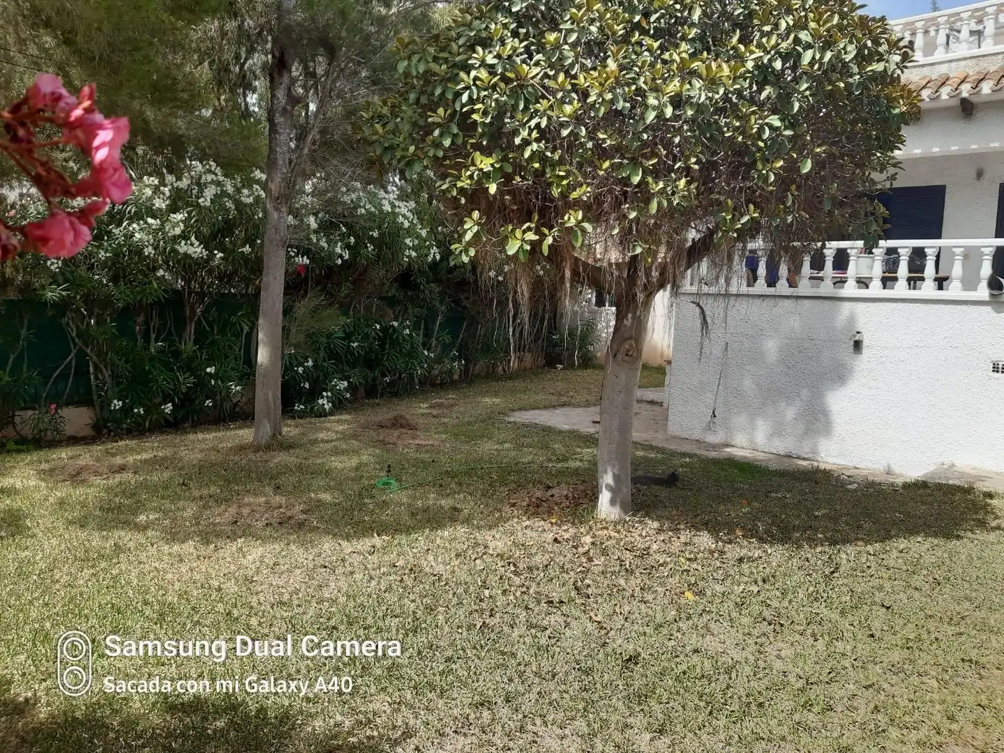 Villa avec piscine à vendre à Orihuela Costa, imagen 3