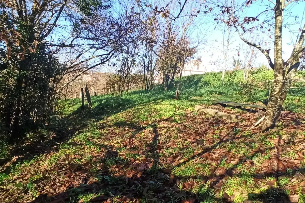 Terreni e lotti in vendita a A Baña, imagen 3