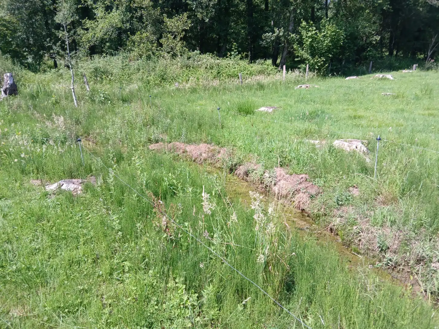 Terreni e lotti in vendita a San Felices de Buelna, imagen 14