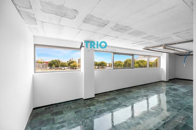 Oficina en Alquiler en Son Anglada