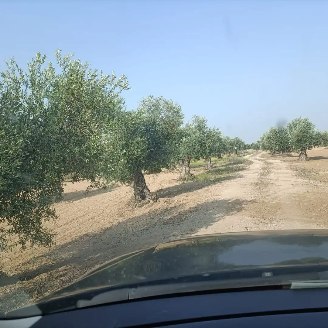 Terreni e lotti in vendita a Villaminaya, imagen 4