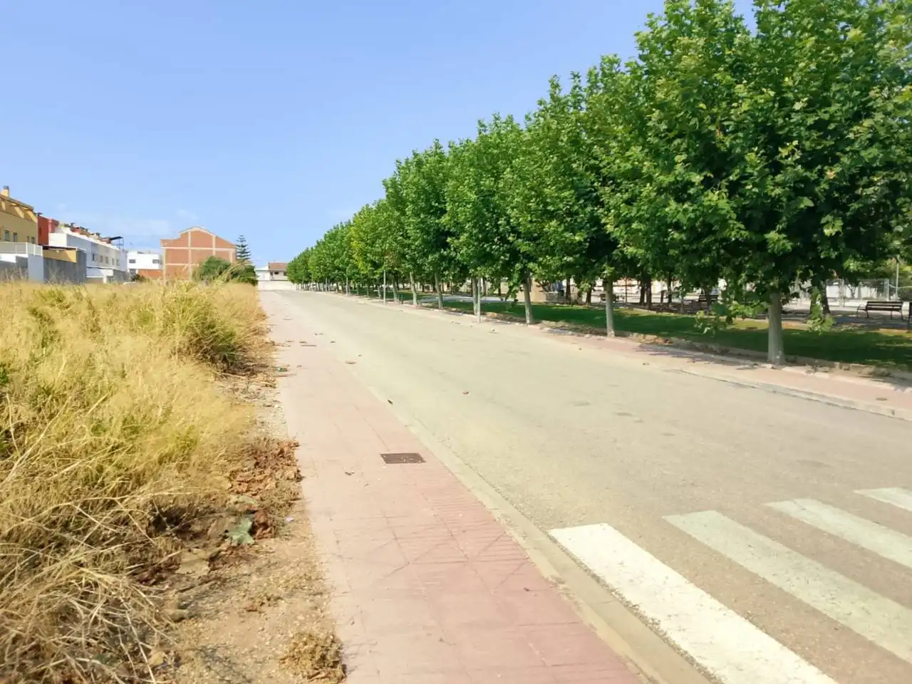 Residential land for sale in Calle Botánico Cabanilles, imagen 7